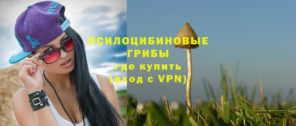 Альфа ПВП Абаза