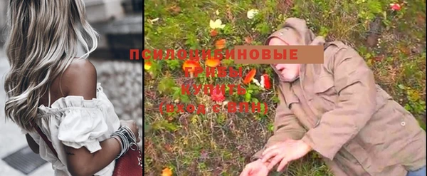 ешки Россошь