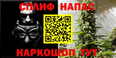 эйфоретик Бузулук