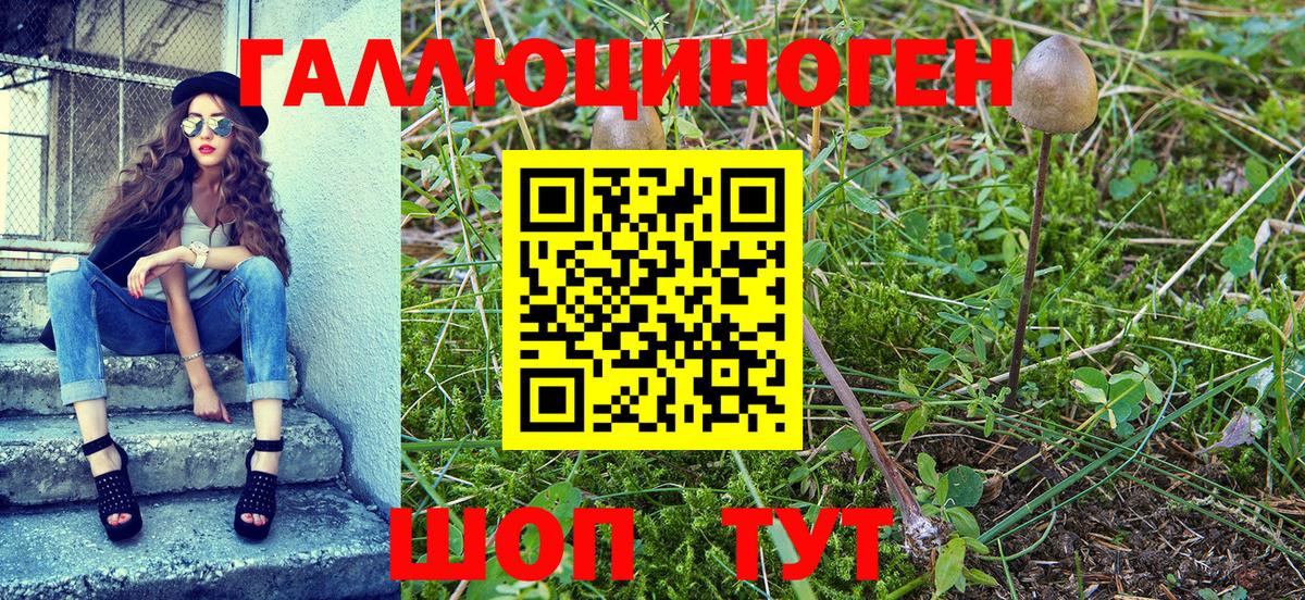 Псилоцибиновые грибы Psilocybine cubensis  Галлюциногенные грибы прущие грибы  купить наркоту  Костомукша  Вход с VPN 