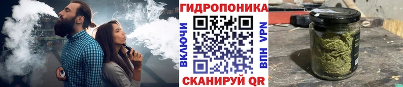 Марихуана Amnesia  Костомукша 